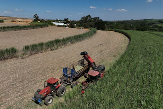 A tractor at Bom Retiro Farm, Artur Nogueira, Brazil, March 24, 2026.