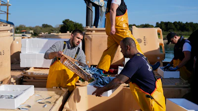 Fishermen handle their catch after returning from fishing in the port of Liznjan, Croatia, Tuesday, April 7, 2026.