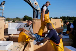 Fishermen handle their catch after returning from fishing in the port of Liznjan, Croatia, Tuesday, April 7, 2026.
