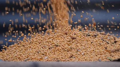 Soybeans from last year's harvest are loaded into a truck at Doug Bartek's farm near Wahoo, Neb., April 6, 2026.
