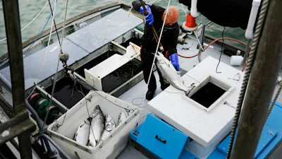 Mike Hudson unloads chinook salmon off his boat at Fisherman's Wharf in San Francisco, July 22, 2019.