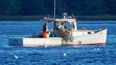 A lobster fisherman hauls a trap off Kennebunkport, Maine, Sept. 8, 2022.