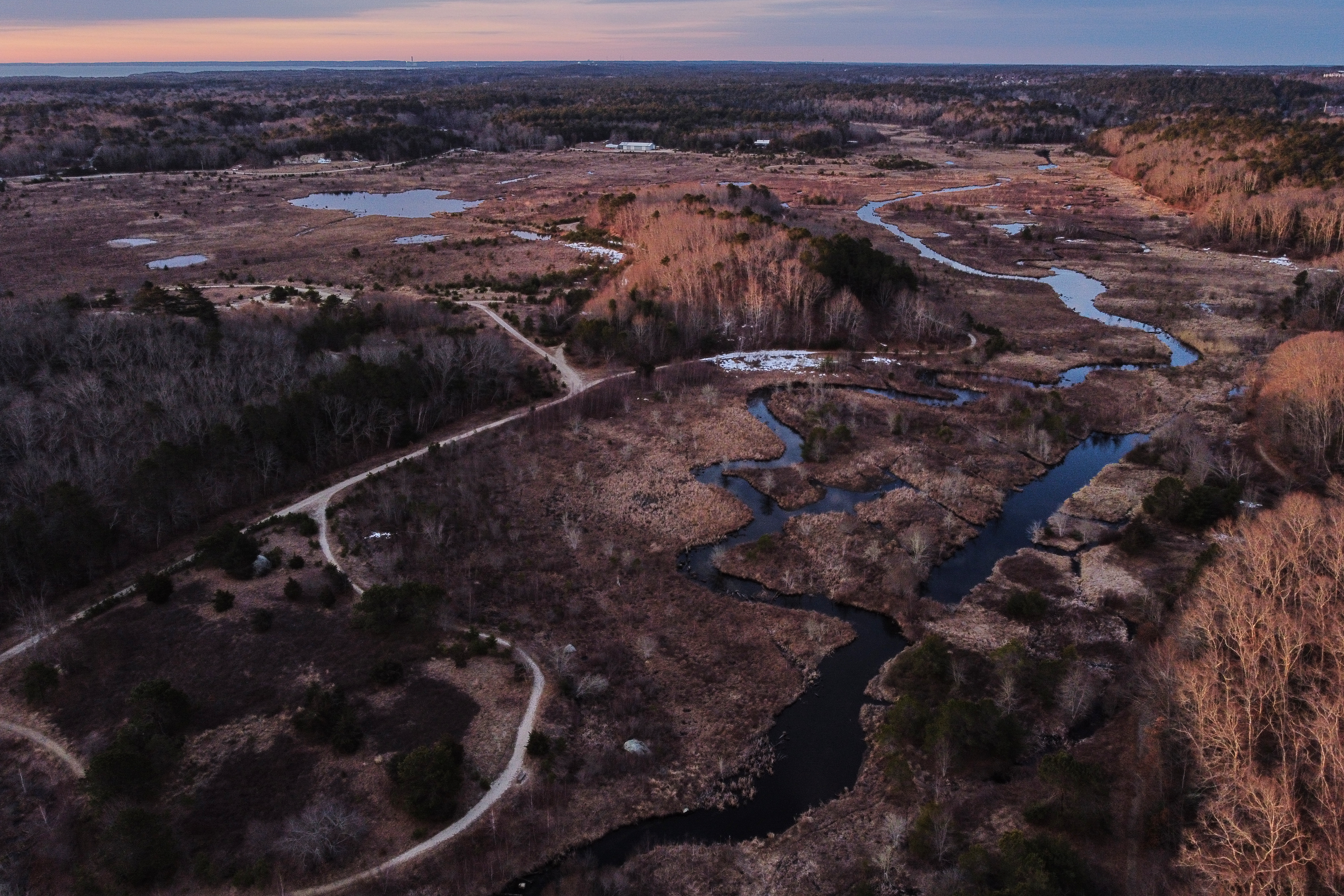 Tidmarsh Wildlife Sanctuary, Plymouth, Mass., March 15, 2026.