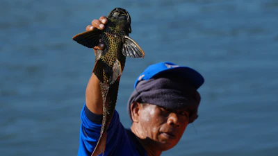 A municipal worker holds up a janitor fish in Jakarta, April 24, 2026.
