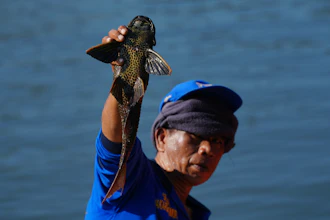 A municipal worker holds up a janitor fish in Jakarta, April 24, 2026.