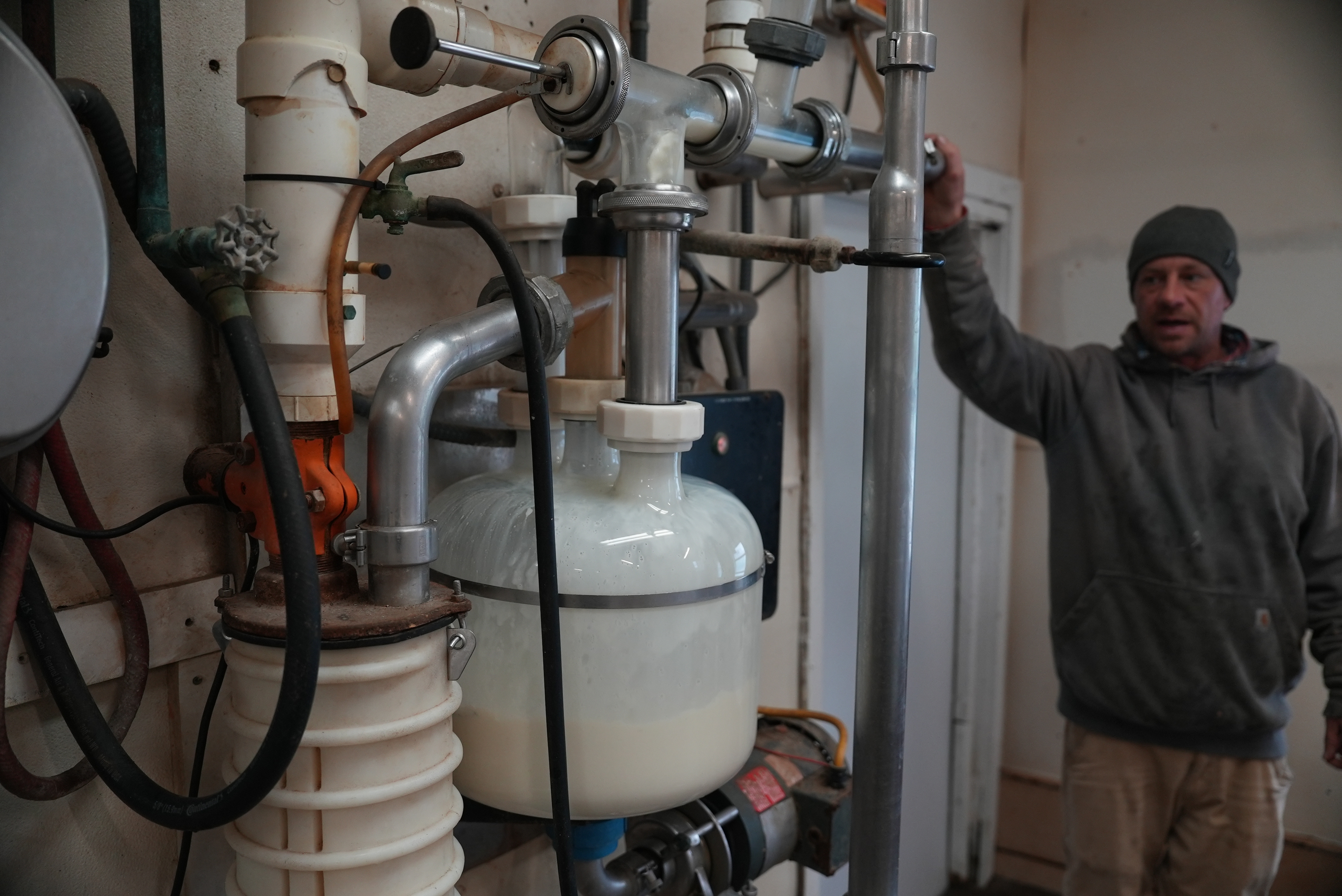 Herdsman Stephen Reed watches raw cow milk collect in a receive jar before it is eventually pasteurized at Ronnybrook Farm in Ancramdale, N.Y., on April 22, 2026.