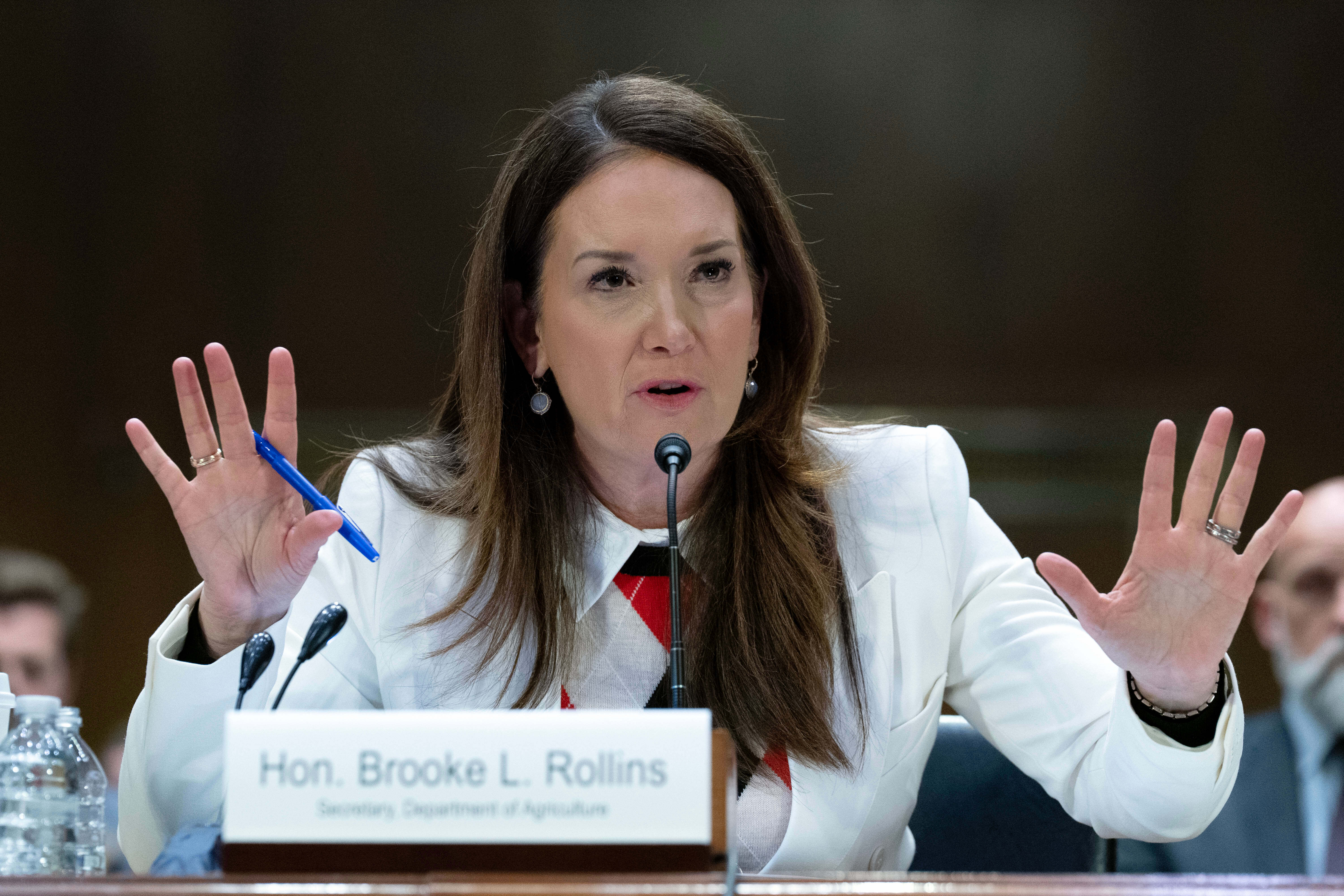 Agriculture Secretary Brooke Rollins testifies on Capitol Hill, April 22, 2026.