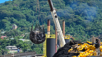 A tuna catch is hauled in by a net aboard a purse seiner, April 24, 2025, Port Victoria, the Seychelles.