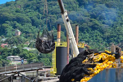 A tuna catch is hauled in by a net aboard a purse seiner, April 24, 2025, Port Victoria, the Seychelles.