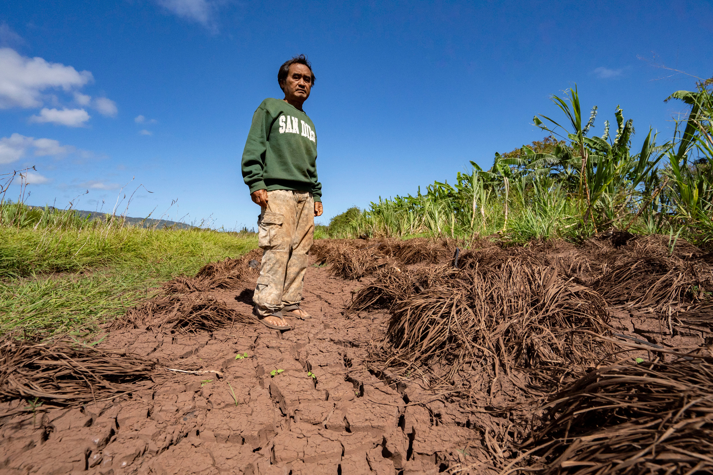Bok Kongphan poses for a photo at his farm, May 4, 2026, Waialua, Hawaii.