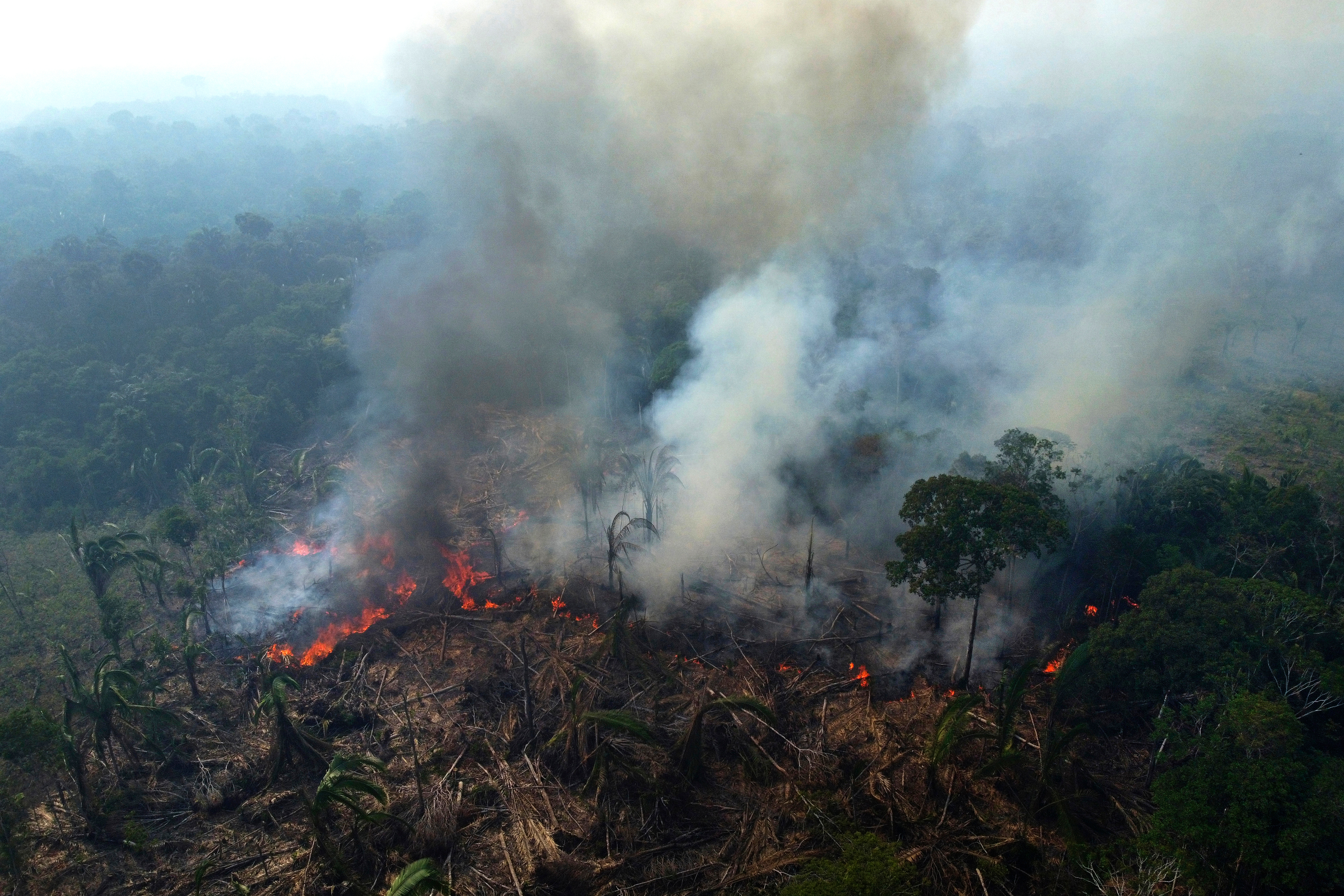 A wildfire burns in the Amazon, Manaquiri, Brazil, Sept. 6, 2023.