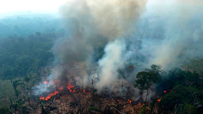 A wildfire burns in the Amazon, Manaquiri, Brazil, Sept. 6, 2023.