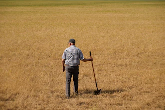 Vance Ehmke checks a wheat field decimated by wheat streak mosaic virus on his farm near Healy, Kan., May 15, 2026.