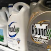Containers of Roundup are displayed on a store shelf in San Francisco, Feb. 24, 2019.