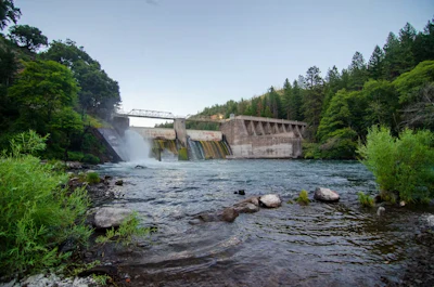Dams can block fish movement, but they can also be used to provide pulses of freshwater that, at the right times of year, can help salmon survive.