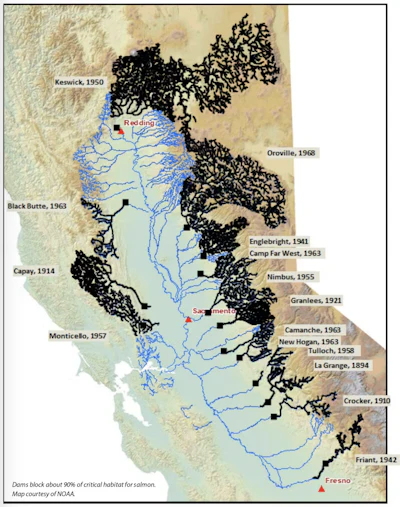 Dams, shown as black squares, have blocked about 90% of the salmon’s traditional spawning areas. Some dams are being removed.