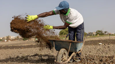 Farah Jammeh throws organic compost on fields at a cooperative in Rufisque, Senegal, May 12, 2026.