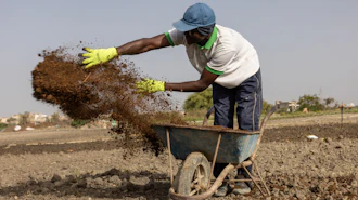 Farah Jammeh throws organic compost on fields at a cooperative in Rufisque, Senegal, May 12, 2026.