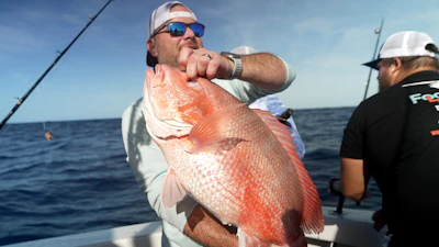 Chris Kemp holds up a red snapper on the charter boat Jodie Lynn II before releasing it off St. Augustine, Fla., May 22, 2026.
