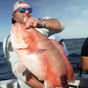 Chris Kemp holds up a red snapper on the charter boat Jodie Lynn II before releasing it off St. Augustine, Fla., May 22, 2026.