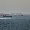 Tankers and cargo vessels in the Gulf of Oman, June 16, 2026.