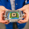 An “electronic nose” created by UC Berkeley researchers can detect the gases emitted by spoiled food and food allergens better than human noses.
