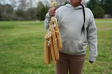 Sowaniu Spears, 11, holds a bundle of Narragansett white flint corn at his grandparents' farm in Hopkinton, R.I., April 21, 2026.