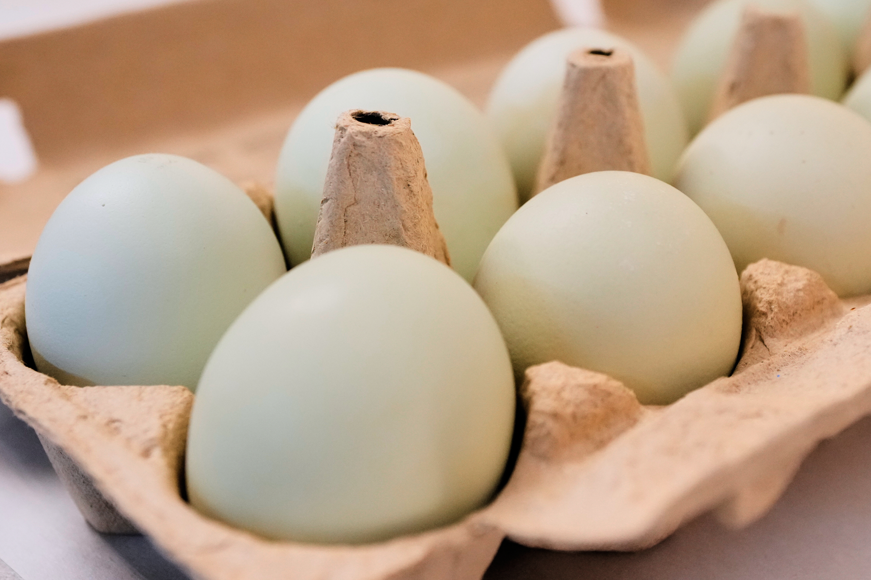 A carton of eggs is pictured in Farmers Branch, Texas, Oct. 21, 2025.