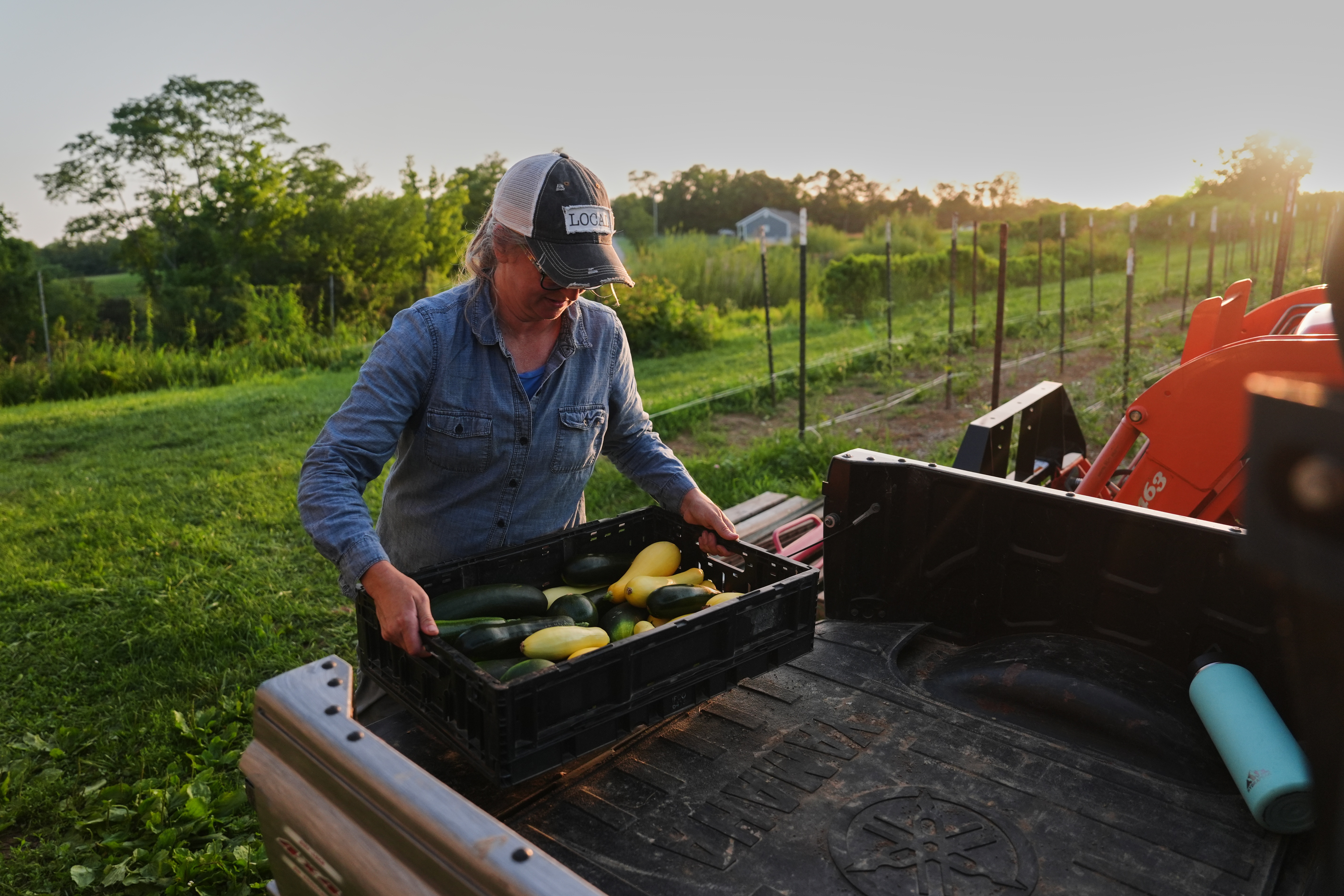 Annie Woods lifts a crate of squash and zucchini at her farm in Brooksville, Ky., July 1, 2026.