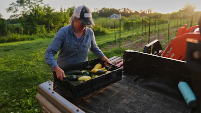 Annie Woods lifts a crate of squash and zucchini at her farm in Brooksville, Ky., July 1, 2026.
