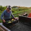 Annie Woods lifts a crate of squash and zucchini at her farm in Brooksville, Ky., July 1, 2026.