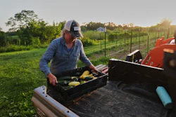 Annie Woods lifts a crate of squash and zucchini at her farm in Brooksville, Ky., July 1, 2026.