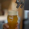 Boston Beer Co. founder and CEO Jim Koch pours a beer at the company's headquarters in Boston, July 7, 2026.