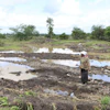 Martha Waema stands on her farm after it was submerged by weeks of rainfall, Machakos, Kenya, May 8, 2024.