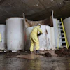 Sludge pours out of a vat of fermenting fish sauce in an abandoned factory, St. Mary's, Newfoundland and Labrador, July 28, 2026.