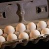 I Stock 1176655022