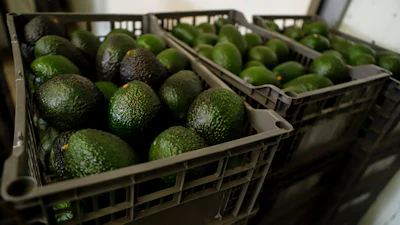 Crates of avocados wait to be processed at a packing plant in Uruapan, Mexico, Feb. 16, 2022.