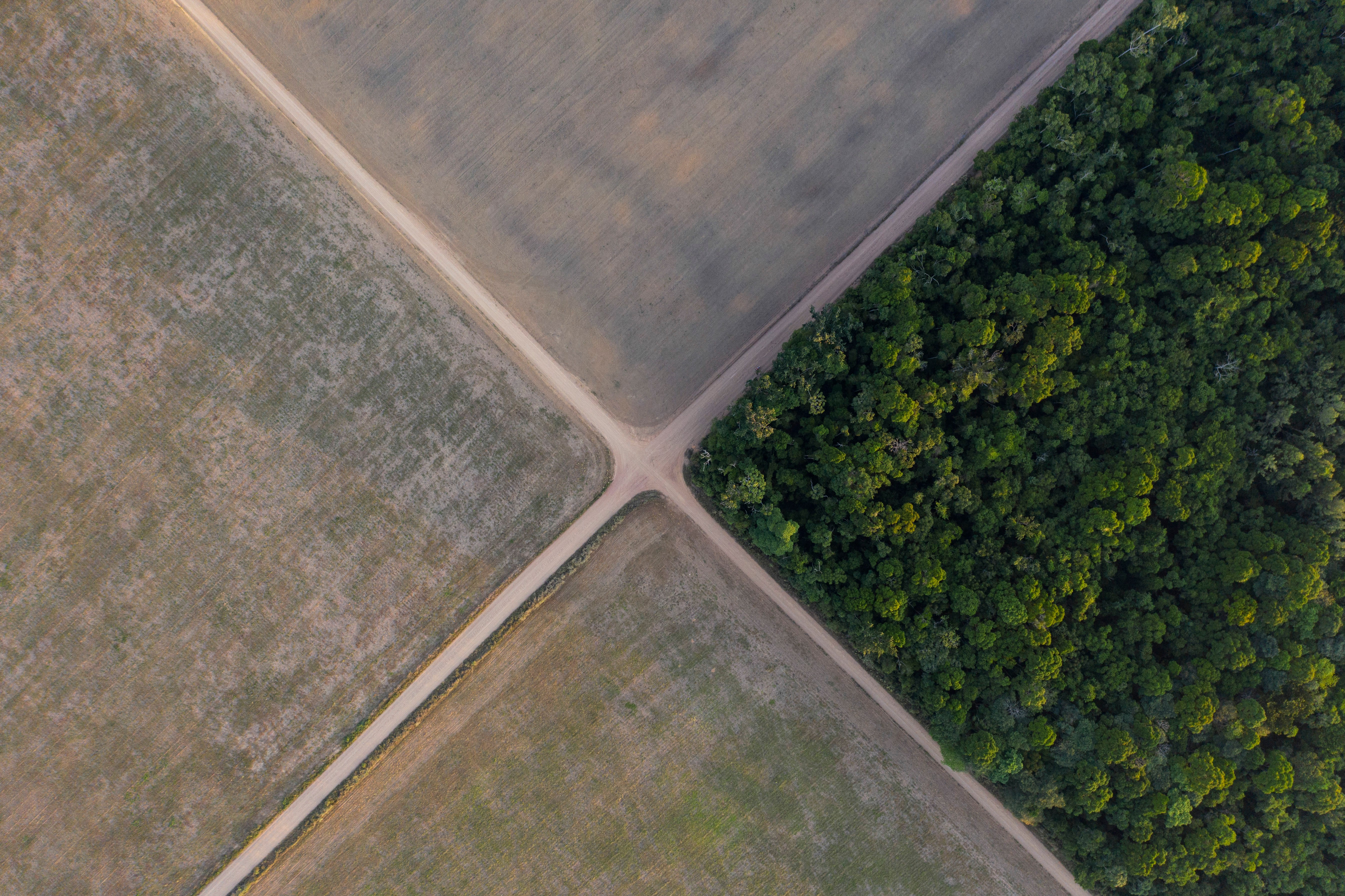 A section of the Amazon rainforest stands next to soy fields in Belterra, Brazil, Nov. 30, 2019.