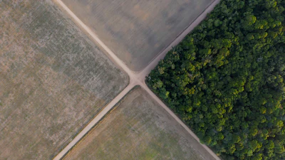 A section of the Amazon rainforest stands next to soy fields in Belterra, Brazil, Nov. 30, 2019.