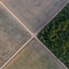A section of the Amazon rainforest stands next to soy fields in Belterra, Brazil, Nov. 30, 2019.