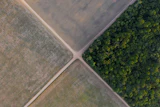 A section of the Amazon rainforest stands next to soy fields in Belterra, Brazil, Nov. 30, 2019.