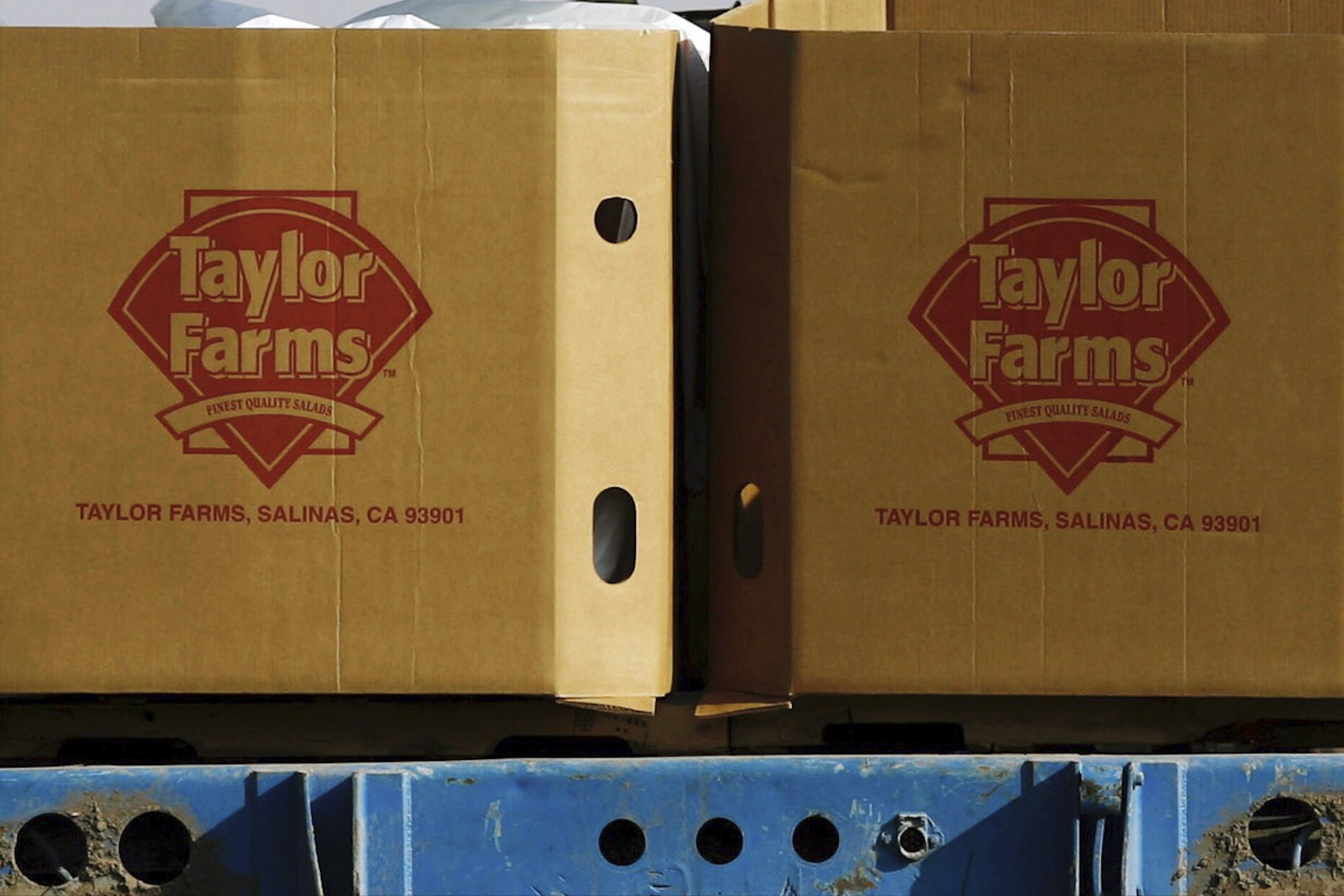 Taylor Farms boxes are loaded on a field in the town of Doctor Mora, Guanajuato, Mexico, March 26, 2008.