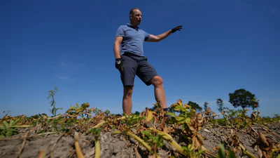 Farmer Henrik Jan ten Cate stands in his potato field, Poortvliet, Netherlands, Aug. 11, 2026.