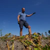 Farmer Henrik Jan ten Cate stands in his potato field, Poortvliet, Netherlands, Aug. 11, 2026.