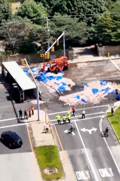 In this image taken from drone footage, workers clean squid from a roadway in Narragansett, R.I., Aug. 16, 2026.