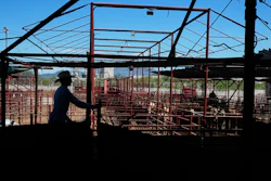A cattle handler moves calves during an auction at a livestock market in Hermosillo, Mexico, Aug. 18, 2026.