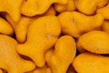 I Stock 1176621304