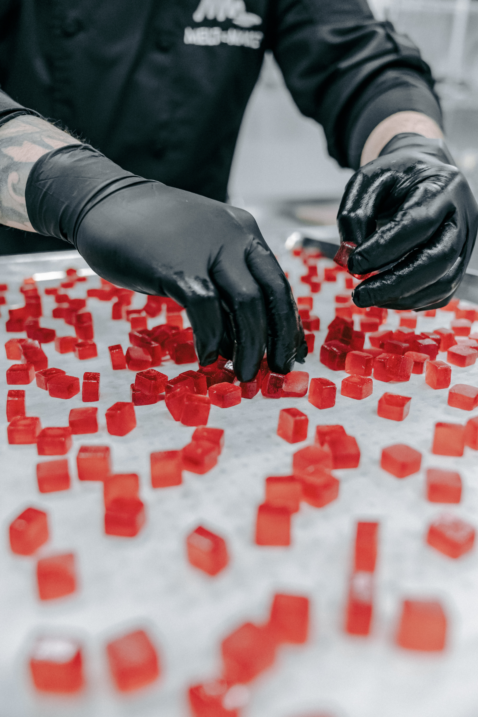 Melt-to-Make's patent-pending Prebiotic Fiber Pectin Base is designed to help manufacturers meet rising demand for gut-health-focused products.