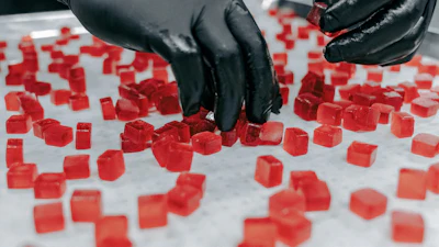 Melt-to-Make's patent-pending Prebiotic Fiber Pectin Base is designed to help manufacturers meet rising demand for gut-health-focused products.