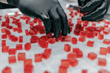 Melt-to-Make's patent-pending Prebiotic Fiber Pectin Base is designed to help manufacturers meet rising demand for gut-health-focused products.